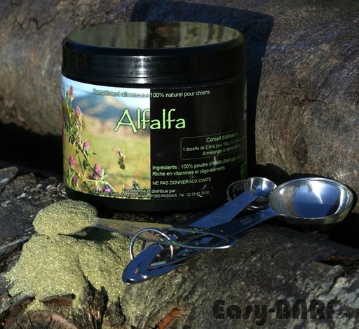 [P012] Alfalfa (lot de 5)