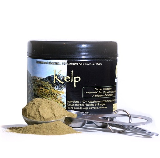 [P052] Algues marines : Kelp 500g (lot de 5)