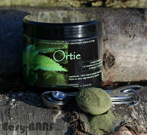 [P062] Ortie (lot de 5)