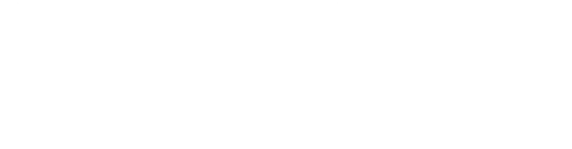 Easy-barf-pro